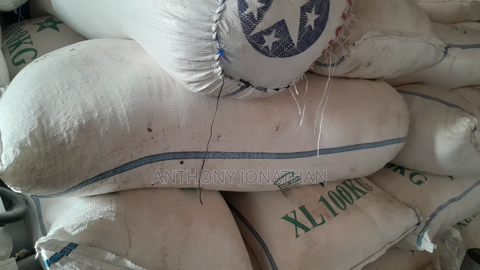 Gari Wholesale