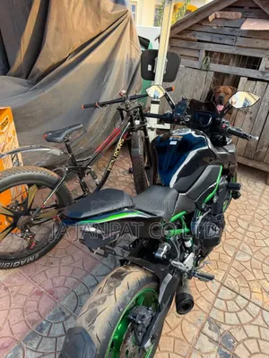 Kawasaki Z900RS 2025 Green