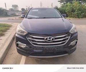 Hyundai Santa Fe SE AWD 2017 Blue