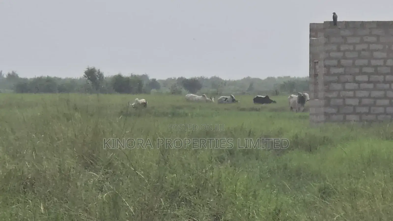 400 Acres of Titled Plot for Sale at Tetegu