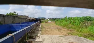Three Plots of Land Available for Sale