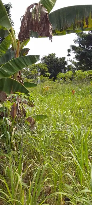 52 Plots ( 9.5 Acres Land) for Sale