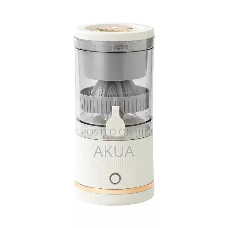 Mini Juicer