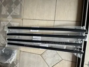 Honda Civic 2016-2021 Door Mouth/ Stripe Set