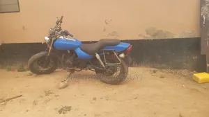 Kawasaki 2009 Blue