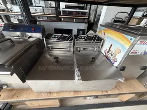 Commercial Double Electric Fryer 12l