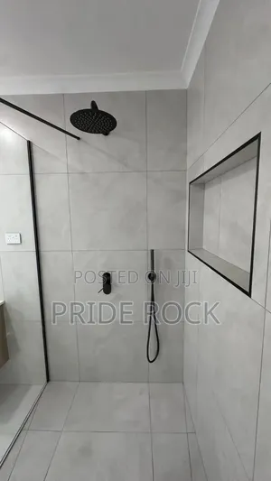 Conceal Shower, Concealed Three in One and Two in One Shower