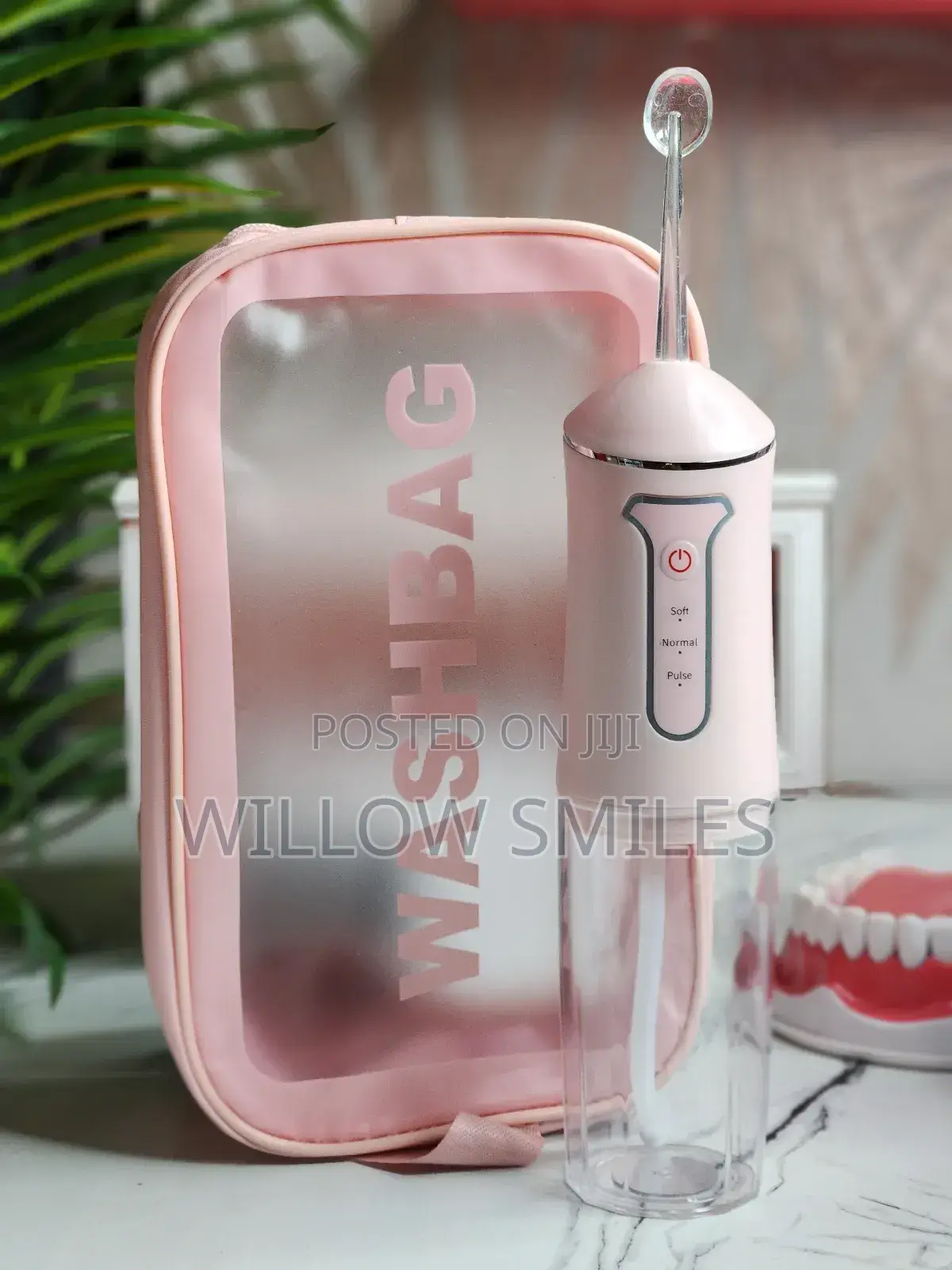 Water Flosser + Washbag