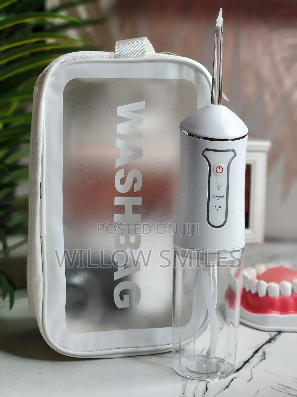 Water Flosser + Washbag