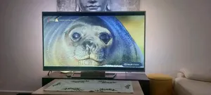 55iches Philips Tv