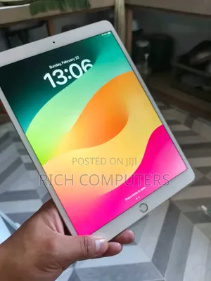 Apple iPad 10.2 (2019) 256 GB Gray