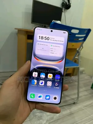Vivo iQOO 13 256 GB Gray