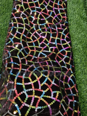 Gorgeous Velvet Sequined Lace