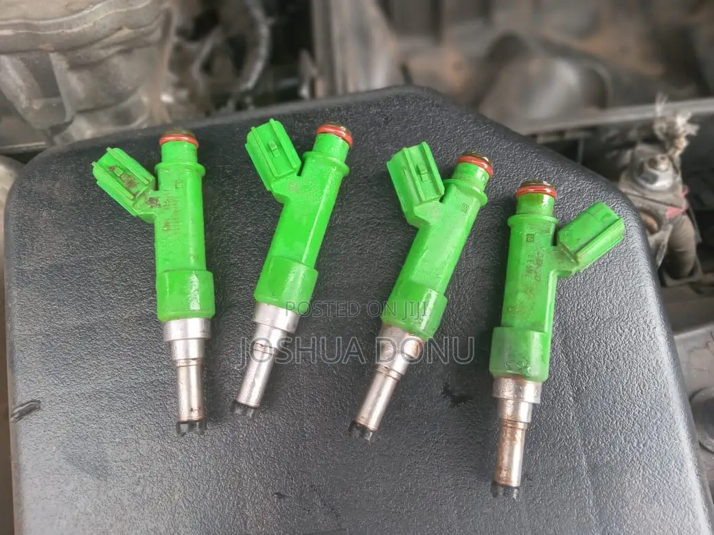Fuel Injector Servicing