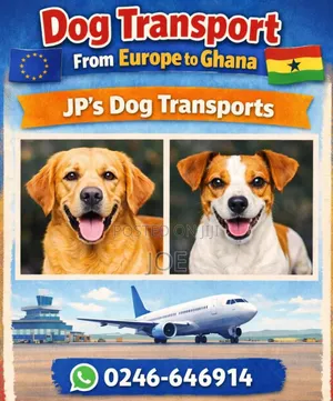 Transport Dogs From Europe