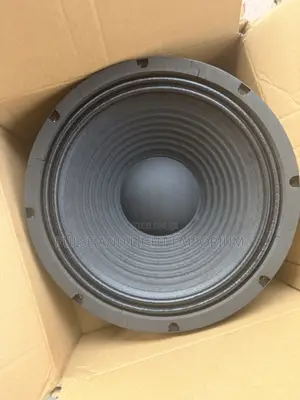 Titanic Usa Professional Naked Speaker(12 Inches/600 Watts)