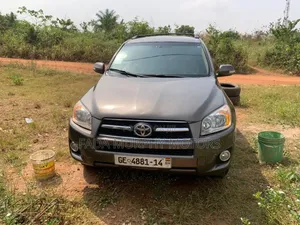 Toyota RAV4 2010 Gray