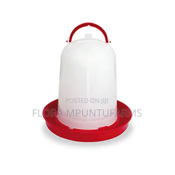 6l Drinker for Poultry