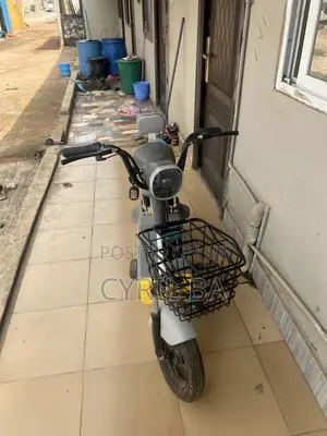 New Royal Motorcycle 2025 Gray