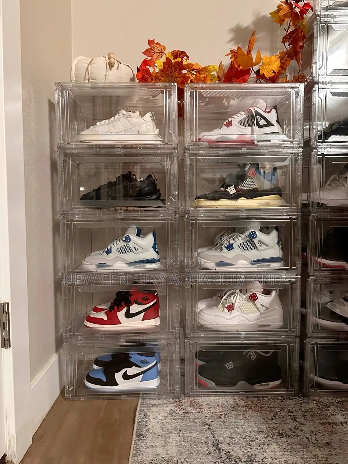 Transparent Storage Box