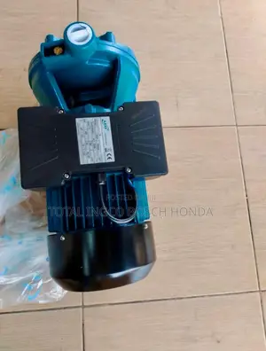 Surface Pump/ Leo Pumping Machine 5.5hp