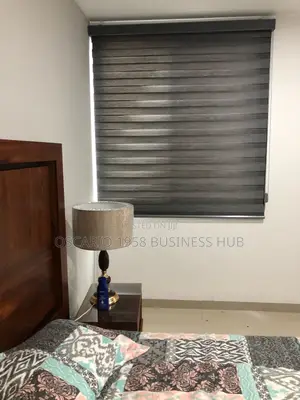 Olivia Rocco Window Curtain Blinds