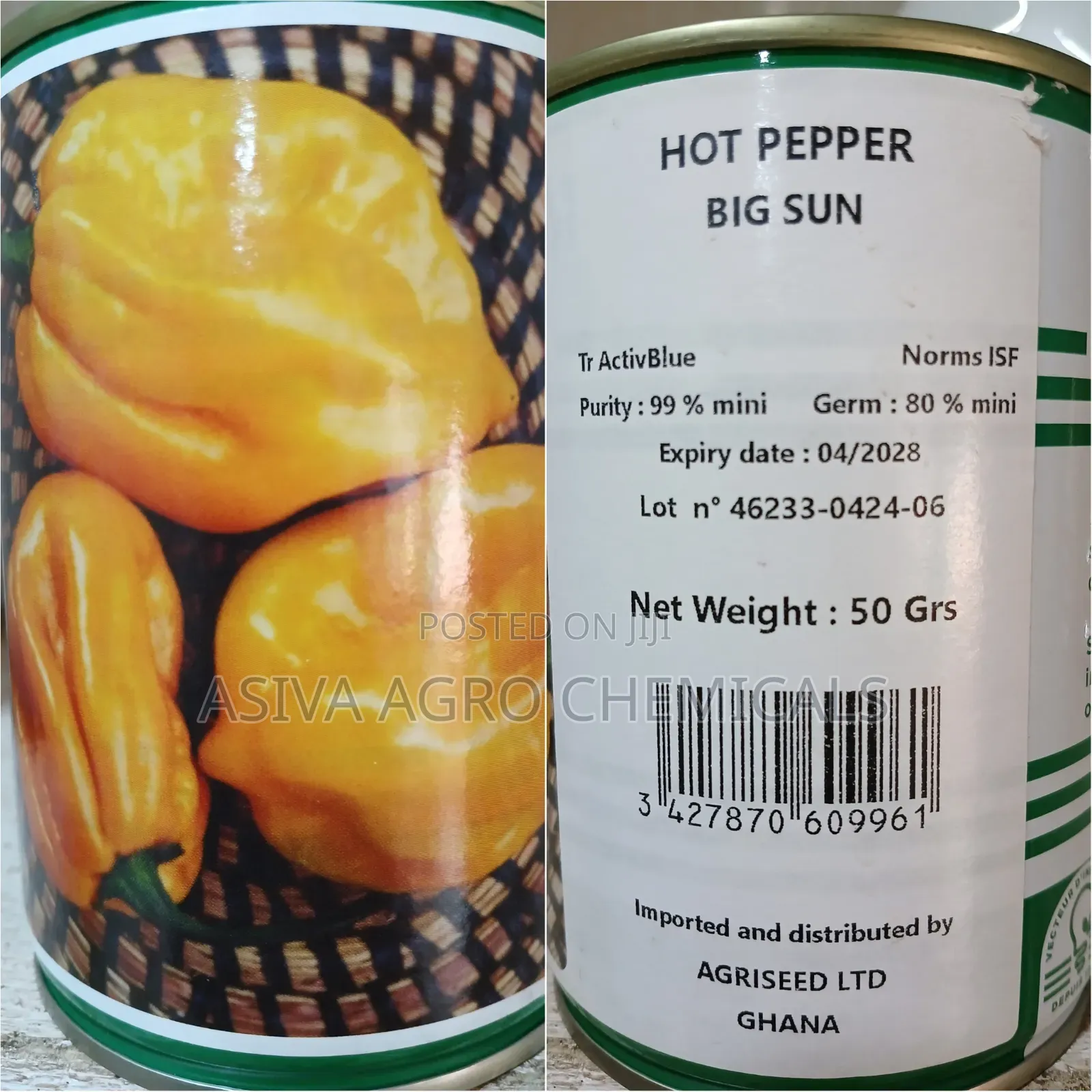 Big Sun 50grams Hot Pepper Seeds