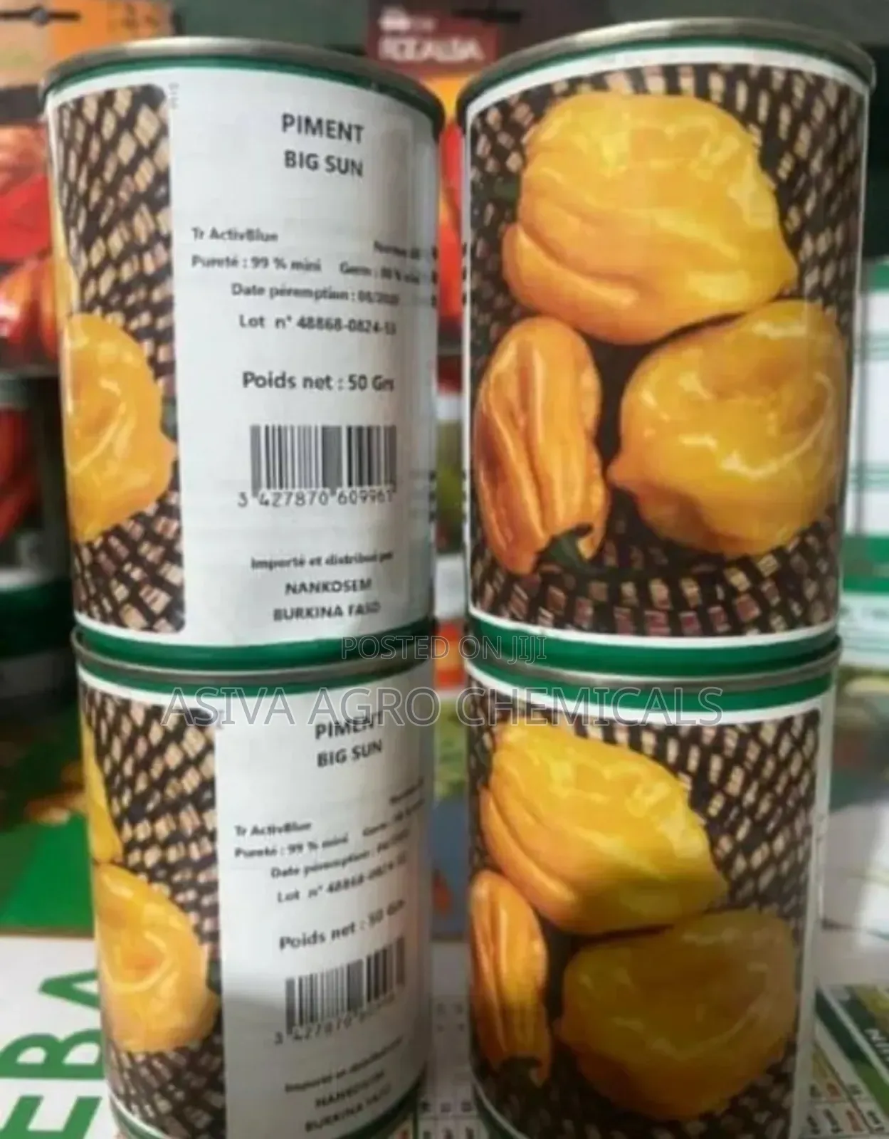 Big Sun 50grams Hot Pepper Seeds