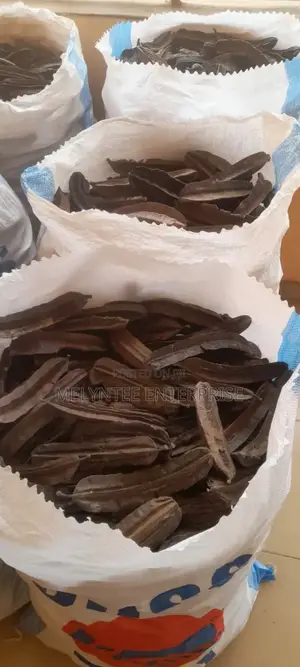 Prekese, Aidan Fruit (Tetraplaura Tetraptera) Wholesale
