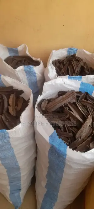Prekese, Aidan Fruit (Tetraplaura Tetraptera) Wholesale