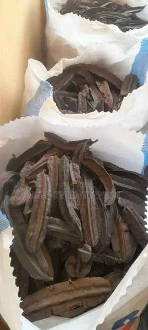 Prekese, Aidan Fruit (Tetraplaura Tetraptera) Wholesale