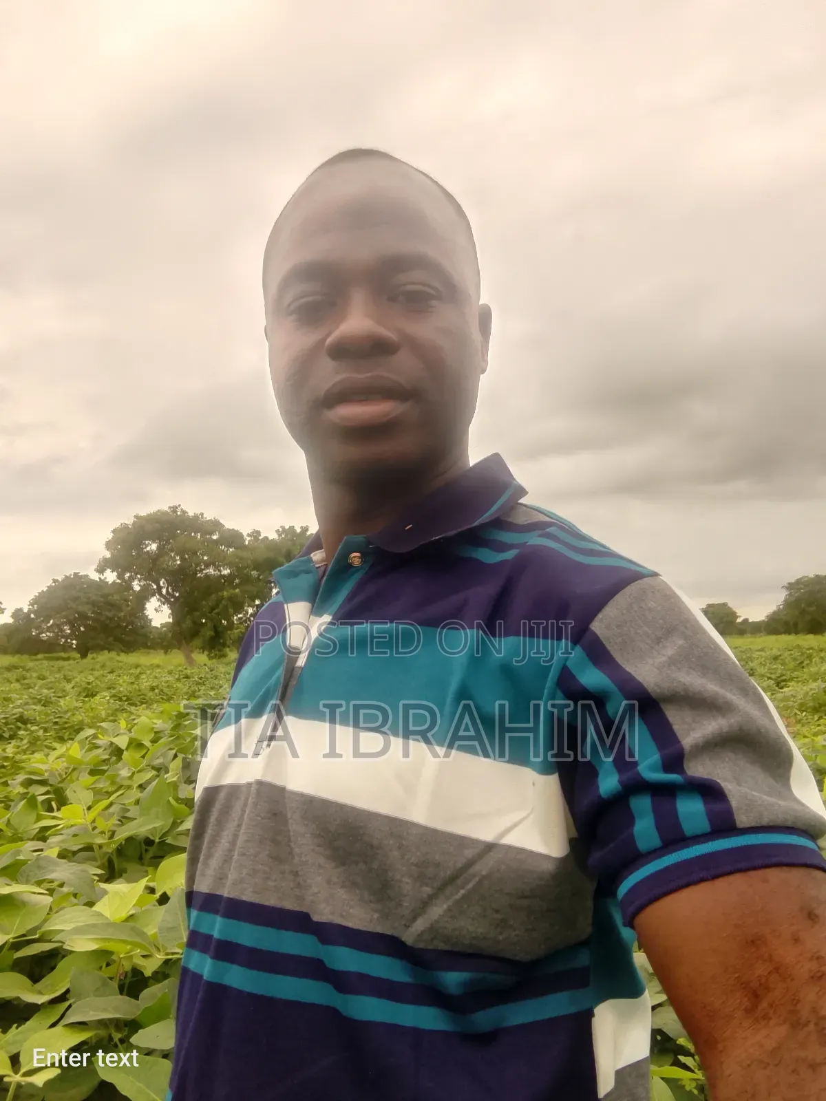 Project/ Field Officer
