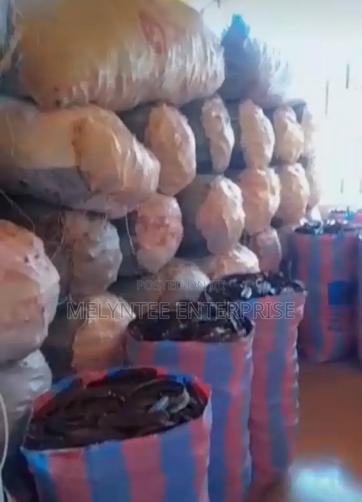 Prekese, Aidan Fruit (Tetraplaura Tetraptera) Wholesale