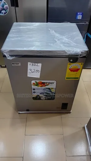 Big Freeze, Small Space – Mitsui 137l Chest Freezer