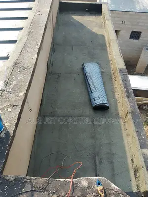 Concrete Roof Water Proofing and Secrt Concrete Gutter Water Proofing.