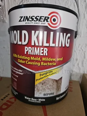 Zinsser Mold Killing Primer
