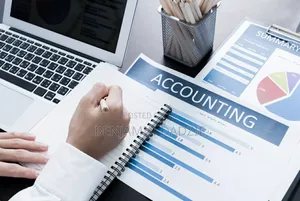 Audit and Accounting Firm