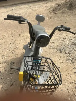 New Royal Motorcycle 2026 Gray