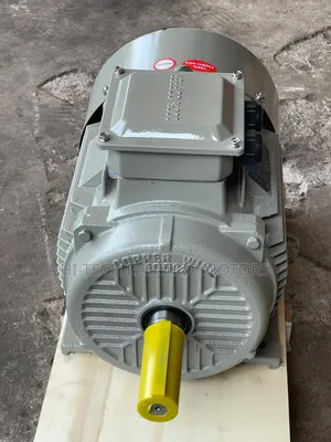 20hp (15kw) High Speed (2900rpm) Three Phase Electric Motor
