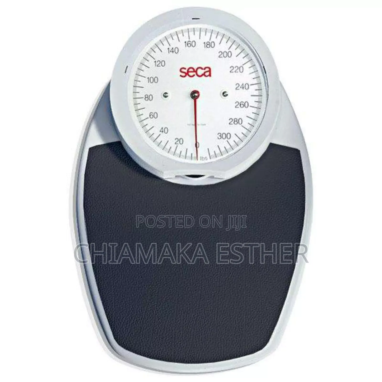 Seca Scale
