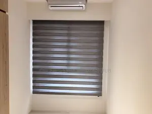 Lascivious Window Curtain Blinds