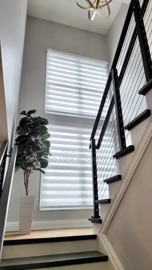 Bare Home Window Curtain Blinds