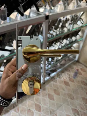 Plantex Gold Door Lock