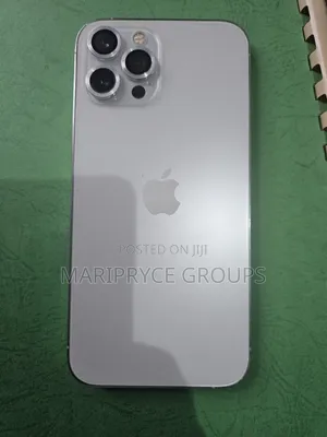 Apple iPhone 12 Pro Max 256 GB Silver