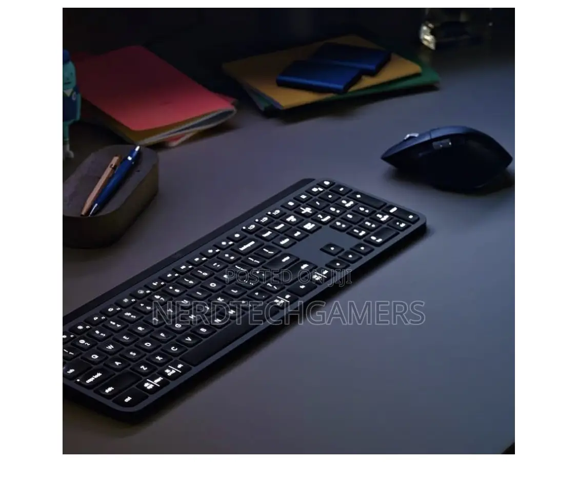 Mx Keys Combo