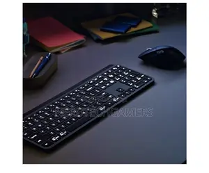 Mx Keys Combo