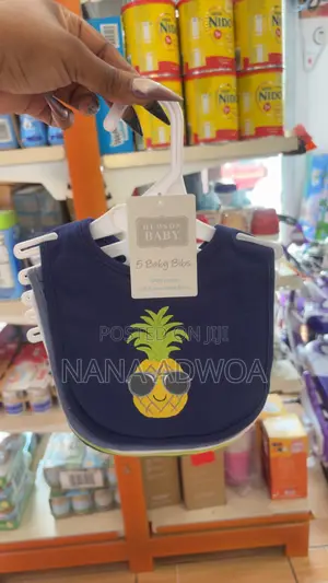 Hudson Baby Bib