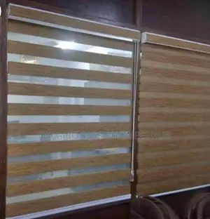 Cordless House Zebra Blinds 