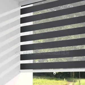 Pull Down Extraordinary Window Zebra Blinds 