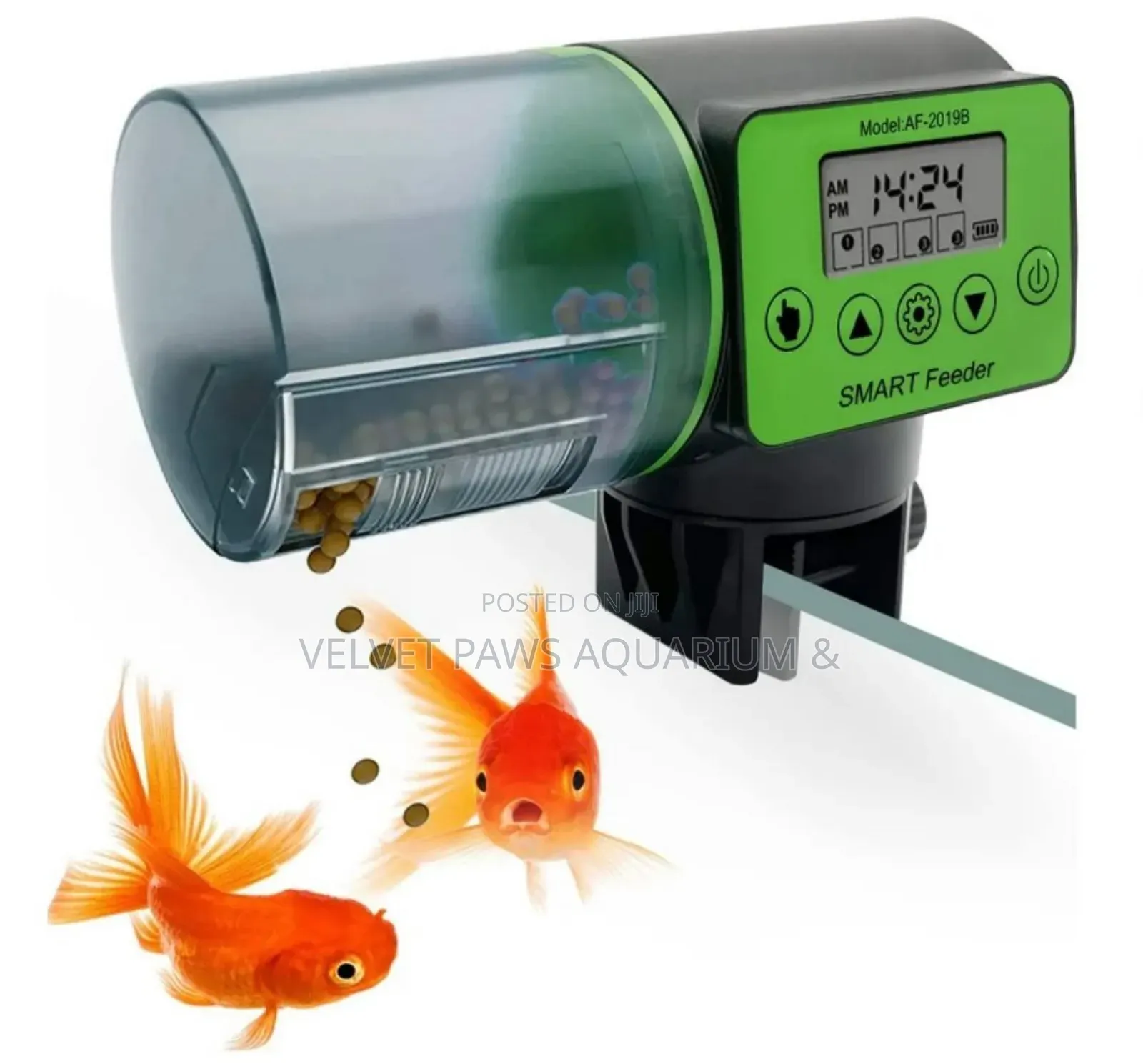 Automatic Feeder For Aquarium